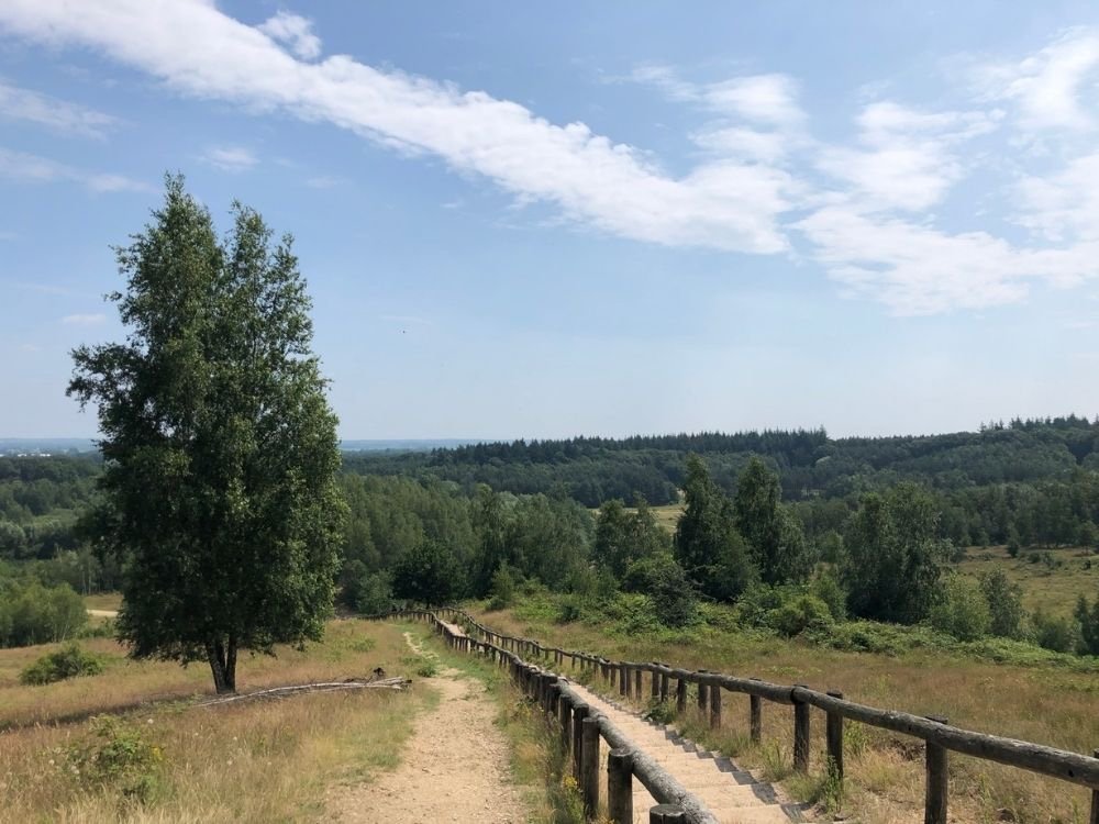 Natuurgebied Kwintelooijen - Veenendaal